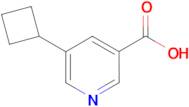 5-Cyclobutylnicotinic acid