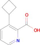 3-Cyclobutylpicolinic acid