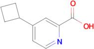 4-Cyclobutylpicolinic acid