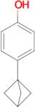 4-(bicyclo[1.1.1]pentan-1-yl)phenol