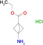 ethyl 3-aminobicyclo[1.1.1]pentane-1-carboxylate hydrochloride