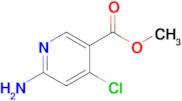 Methyl 6-amino-4-chloronicotinate