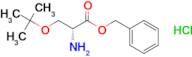 (R)-Benzyl 2-amino-3-(tert-butoxy)propanoate hydrochloride