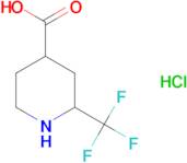 2-(trifluoromethyl)piperidine-4-carboxylic acid hydrochloride