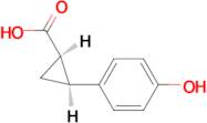 (1S,2S)-rel-2-(4-hydroxyphenyl)cyclopropane-1-carboxylic acid