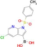 [5-chloro-1-(4-methylbenzenesulfonyl)-1H-pyrrolo[2,3-b]pyridin-3-yl]boronic acid