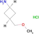 cis-3-(methoxymethyl)cyclobutan-1-amine hydrochloride