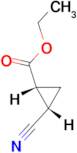 cis-ethyl (1R,2S)-2-cyanocyclopropane-1-carboxylate