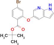 tert-butyl 4-bromo-2-{1H-pyrrolo[2,3-b]pyridin-5-yloxy}benzoate