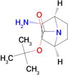 (1r,2s,4s)-rel-2-amino-7-boc-7-azabicyclo[2.2.1]heptane