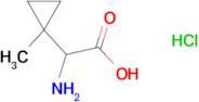 2-amino-2-(1-methylcyclopropyl)acetic acid hydrochloride