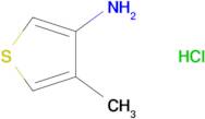 4-methylthiophen-3-amine hydrochloride