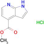 methyl 1H-pyrrolo[2,3-b]pyridine-4-carboxylate hydrochloride