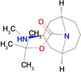 tert-butyl (1R,3r,5S)-3-(methylamino)-9-azabicyclo[3.3.1]nonane-9-carboxylate