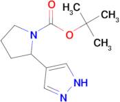 tert-butyl 2-(1H-pyrazol-4-yl)pyrrolidine-1-carboxylate