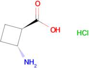 trans-2-aminocyclobutane-1-carboxylic acid hydrochloride