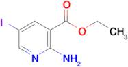 Ethyl 2-amino-5-iodonicotinate