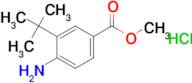 Methyl 4-amino-3-(tert-butyl)benzoate hydrochloride