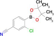 3-Chloro-4-(4,4,5,5-tetramethyl-1,3,2-dioxaborolan-2-yl)benzonitrile