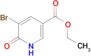 ethyl 5-bromo-6-hydroxynicotinate