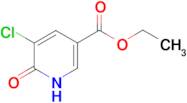 ethyl 5-chloro-6-hydroxynicotinate