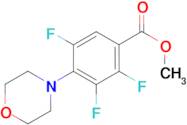 methyl 2,3,5-trifluoro-4-morpholin-4-ylbenzoate