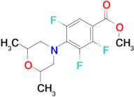 Methyl 4-(2,6-dimethylmorpholin-4-yl)-2,3,5-trifluorobenzoate