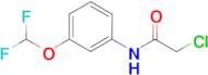 2-chloro-N-[3-(difluoromethoxy)phenyl]acetamide