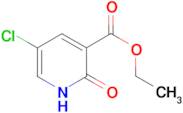 ethyl 5-chloro-2-hydroxynicotinate