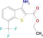 ethyl 3-amino-7-(trifluoromethyl)-1-benzothiophene-2-carboxylate