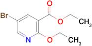 ethyl 5-bromo-2-ethoxynicotinate