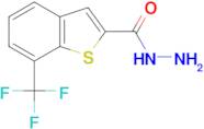 7-(trifluoromethyl)-1-benzothiophene-2-carbohydrazide