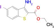 ethyl 3-amino-5-iodo-1-benzothiophene-2-carboxylate