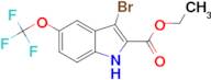 ethyl 3-bromo-5-(trifluoromethoxy)-1H-indole-2-carboxylate
