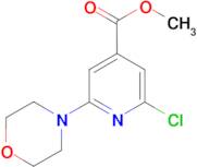 methyl 2-chloro-6-morpholin-4-ylisonicotinate