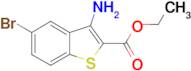 ethyl 3-amino-5-bromo-1-benzothiophene-2-carboxylate