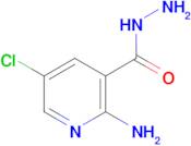 2-Amino-5-chloronicotinohydrazide