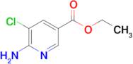 ethyl 6-amino-5-chloronicotinate