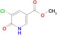 methyl 5-chloro-6-hydroxynicotinate