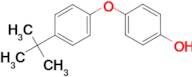 4-(4-tert-butylphenoxy)phenol