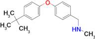 N-[4-(4-tert-butylphenoxy)benzyl]-N-methylamine