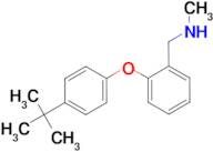 N-[2-(4-tert-butylphenoxy)benzyl]-N-methylamine