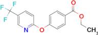 ethyl 4-{[5-(trifluoromethyl)pyridin-2-yl]oxy}benzoate