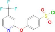 4-{[4-(trifluoromethyl)pyridin-2-yl]oxy}benzenesulfonyl chloride