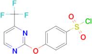 4-{[4-(trifluoromethyl)pyrimidin-2-yl]oxy}benzenesulfonyl chloride