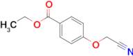 ethyl 4-(cyanomethoxy)benzoate