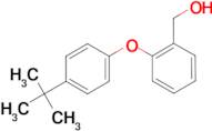 [2-(4-tert-butylphenoxy)phenyl]methanol