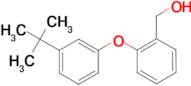 [2-(3-tert-butylphenoxy)phenyl]methanol