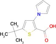 5-tert-butyl-3-(1H-pyrrol-1-yl)thiophene-2-carboxylic acid