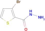 3-bromothiophene-2-carbohydrazide